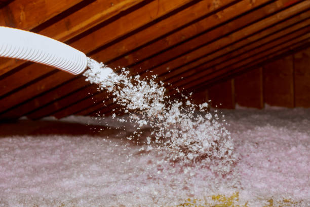 Best Insulation Maintenance and Repair in Avalon, CA