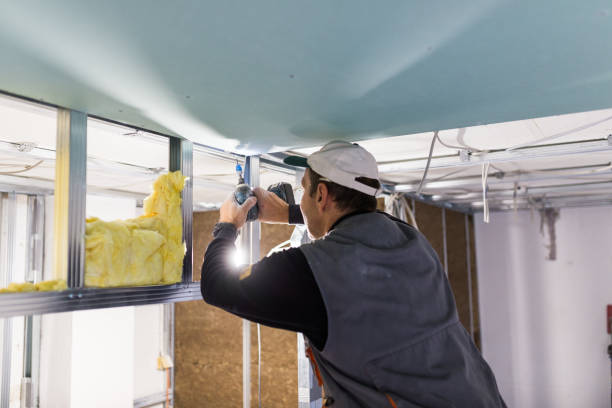 Best Eco-Friendly Insulation in Avalon, CA