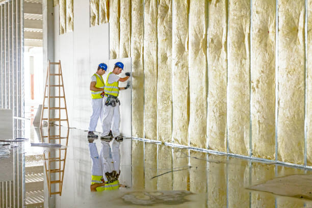 Types of Insulation We Offer in Avalon, CA